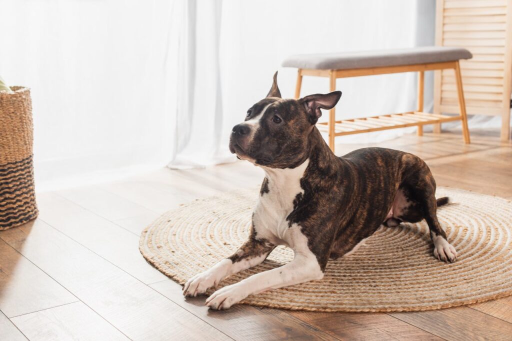 Hardwood Flooring in Fredericksburg, VA Hardwood Flooring in Fredericksburg, VA