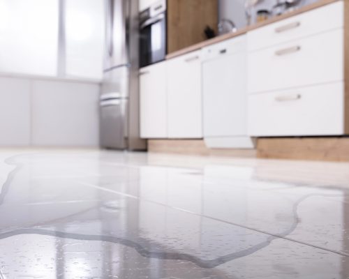 Emergency subfloor repair for water-damaged areas Emergency subfloor repair for water-damaged areas
