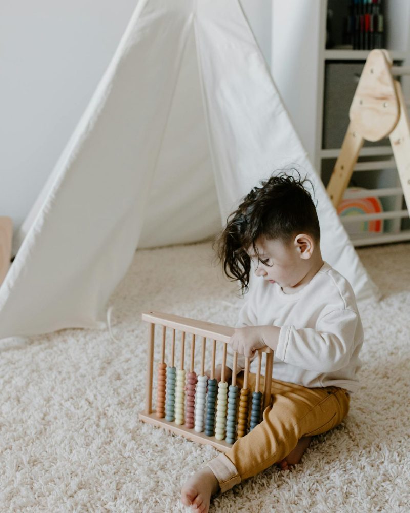 Affordable plush carpet installation near me in Fredericksburg, VA Affordable plush carpet installation near me in Fredericksburg, VA